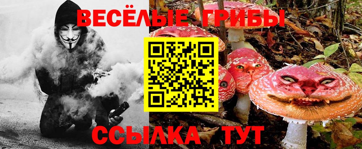 Псилоцибиновые грибы Magic Shrooms Ипатово