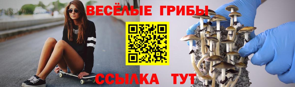 купить наркоту  Вход с VPN  Ипатово  Псилоцибиновые грибы мухоморы 